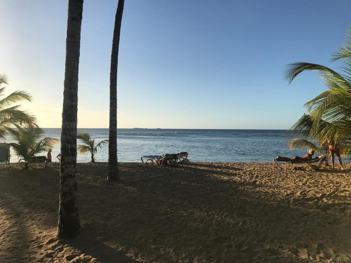 Cozy Oceanfront Villa With Direct Beach Access Las Terrenas Exterior photo